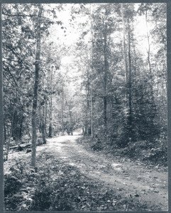 Goodale hired contractors to build Leslie Avenue through the park in 1889. The road was named for former Fort Mackinac commander Leslie Smith.