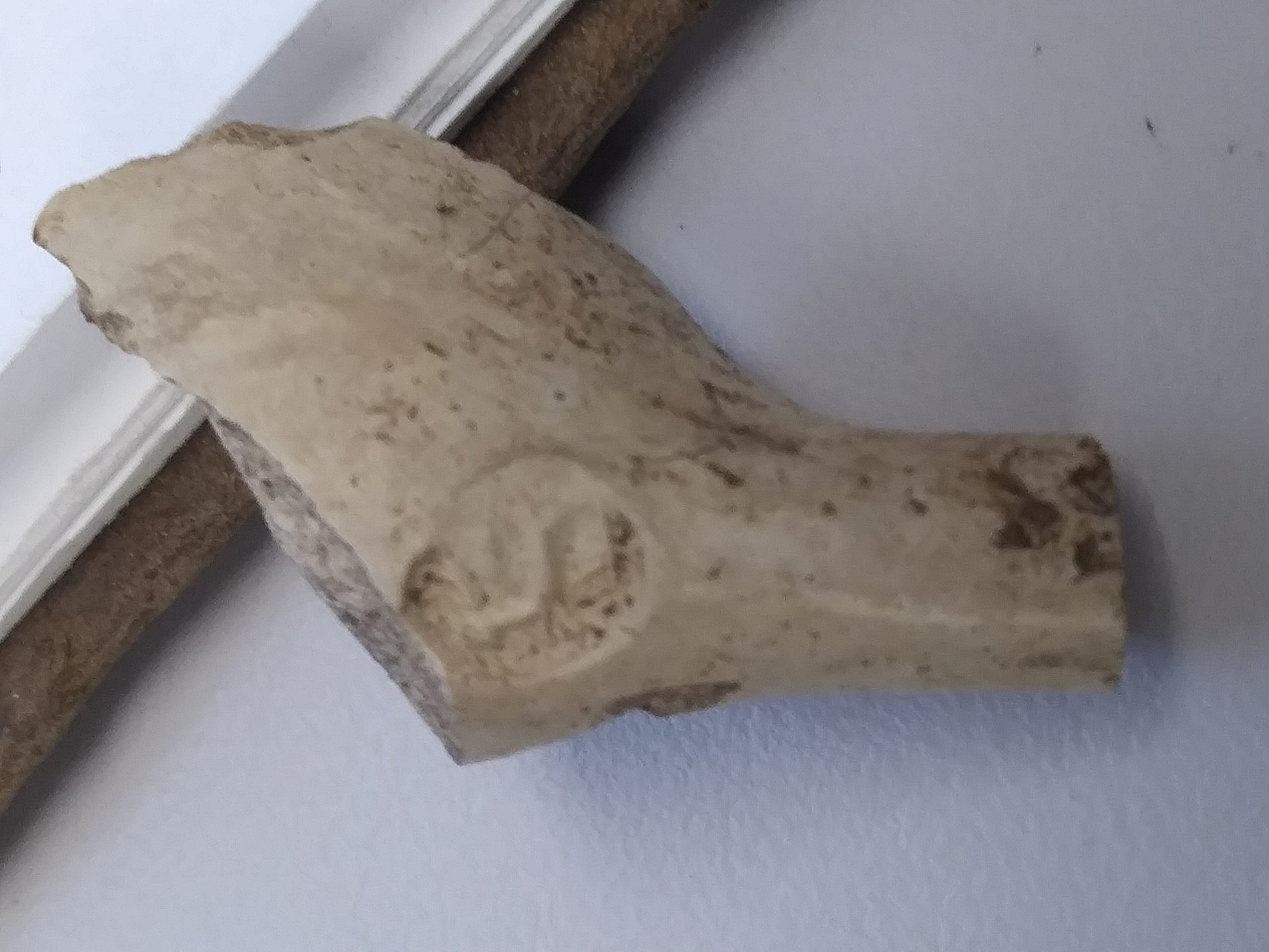A fragment of a white pipe made of clay.